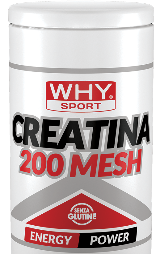 CREATINA 200 MESH 500 g