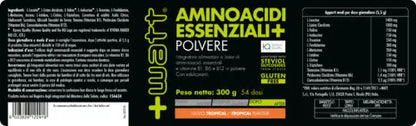 AMINOACIDI ESSENZIALI+ POLVERE