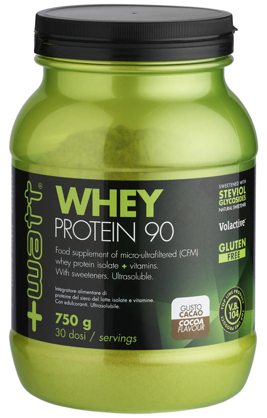 WHEY PROTEIN 90